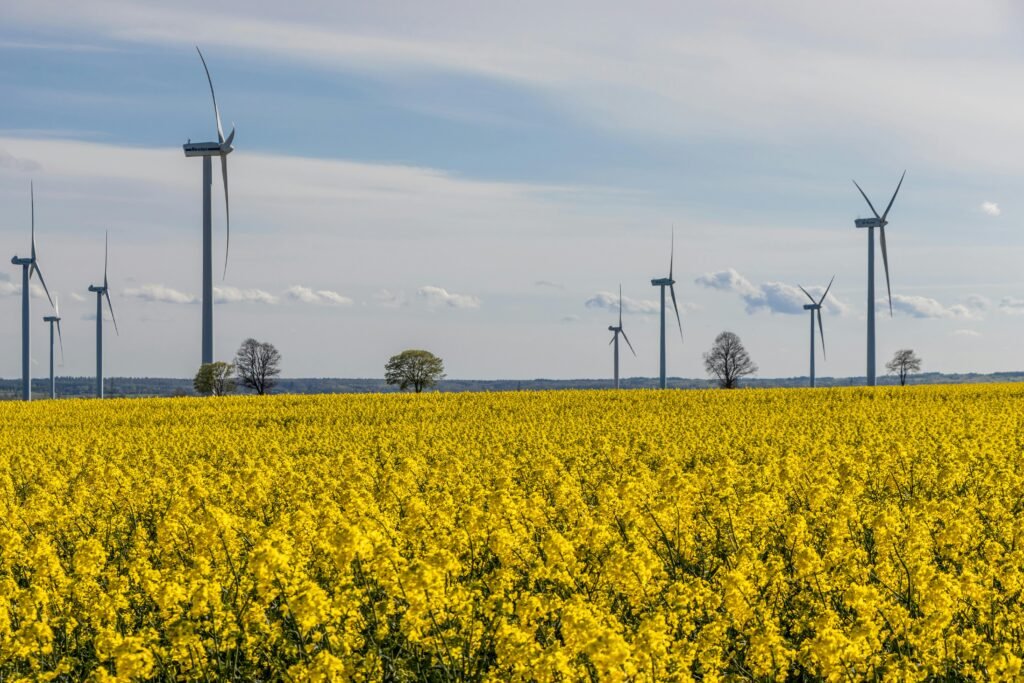 Energy Project Compliance